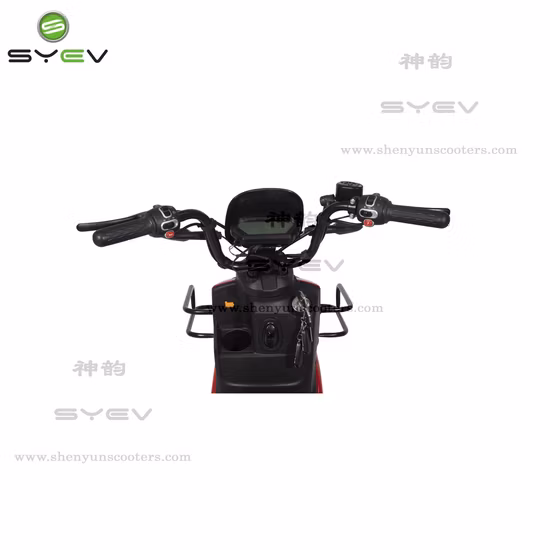 Sortez le scooter électrique Ridder de livraison de nourriture avec double batterie amovible
